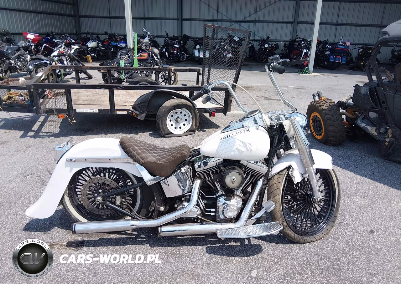 2017 Harley-Davidson Flstc Heritage Softail Classic VIN:1HD1BWV11HB016984 - 11