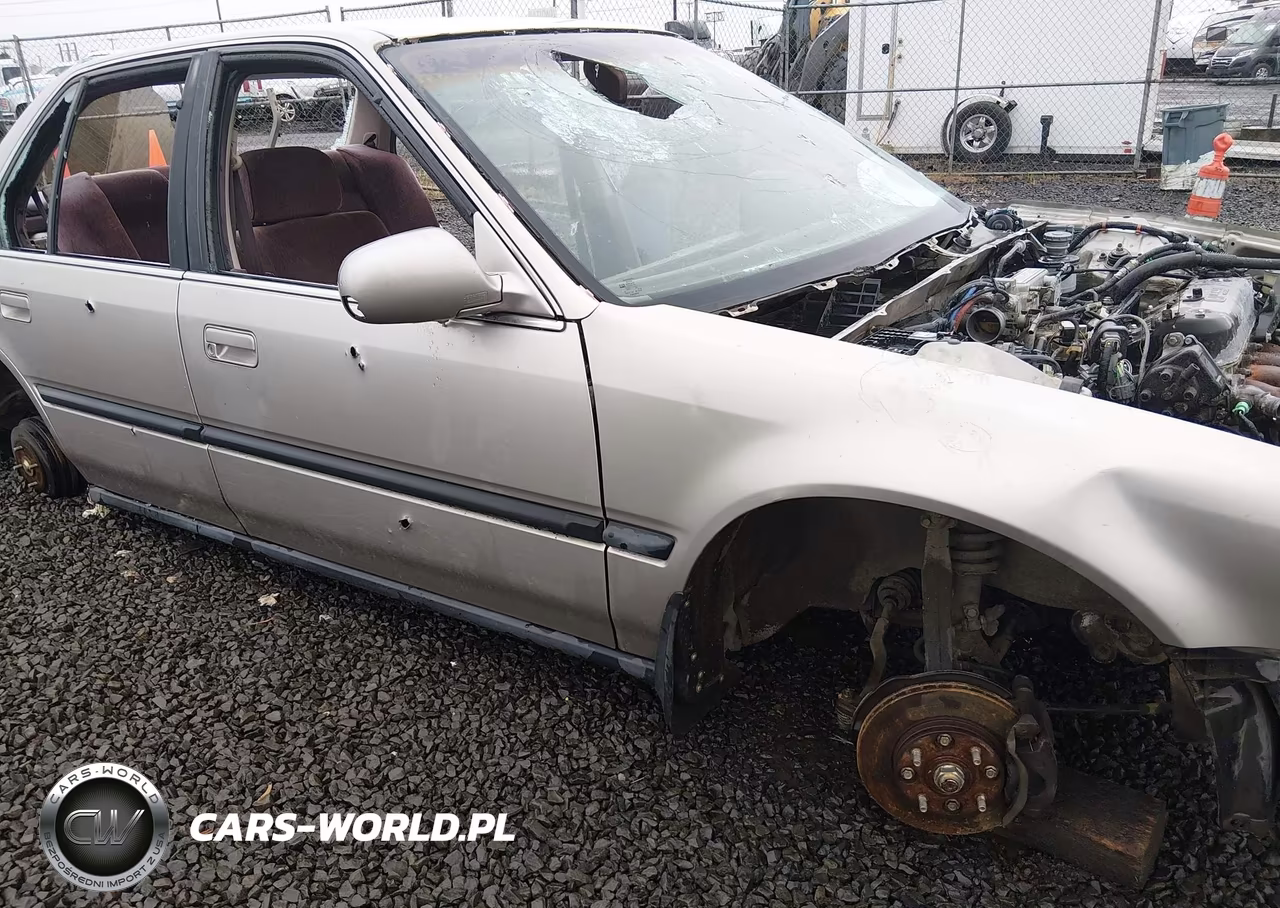 1993 Honda Accord Lx VIN:1HGCB7554PA124413 - 15