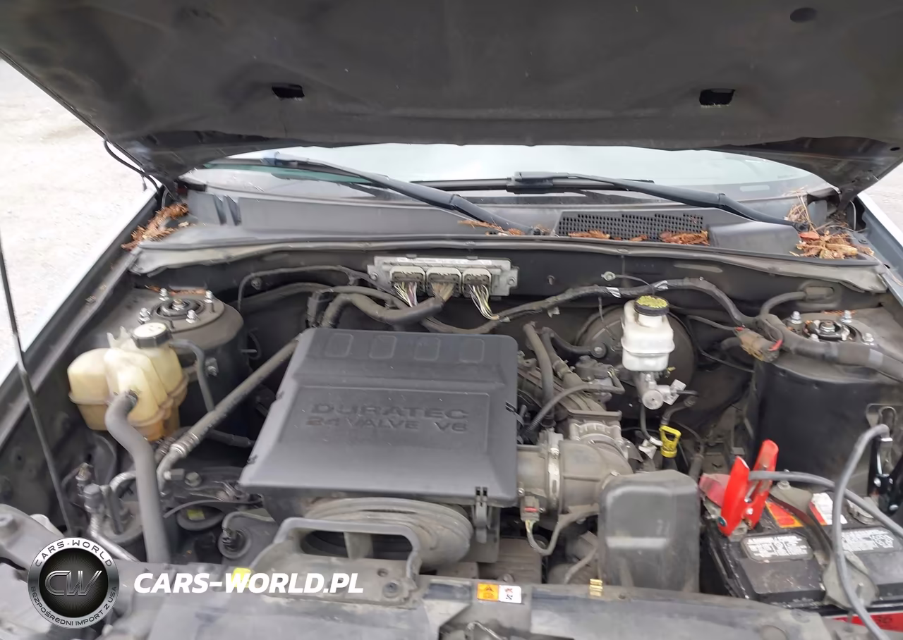 2011 Ford Escape Xlt VIN:1FMCU0DG8BKA08472 - 10