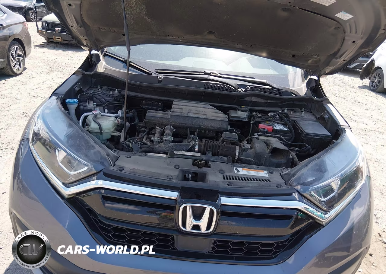 2020 Honda Cr-V 2Wd Lx VIN:2HKRW1H27LH405068 - 10