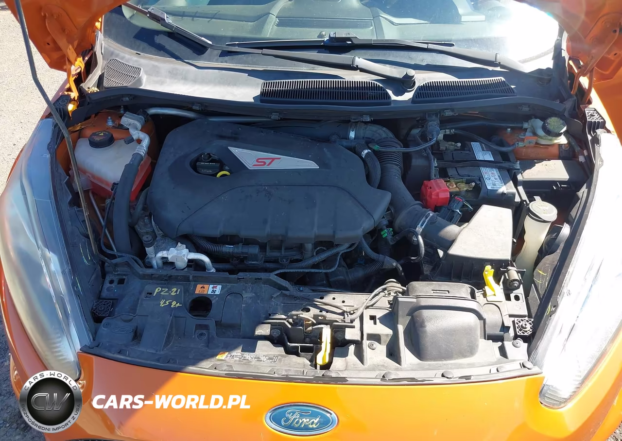 2017 Ford Fiesta St VIN:3FADP4GX6HM144724 - 10