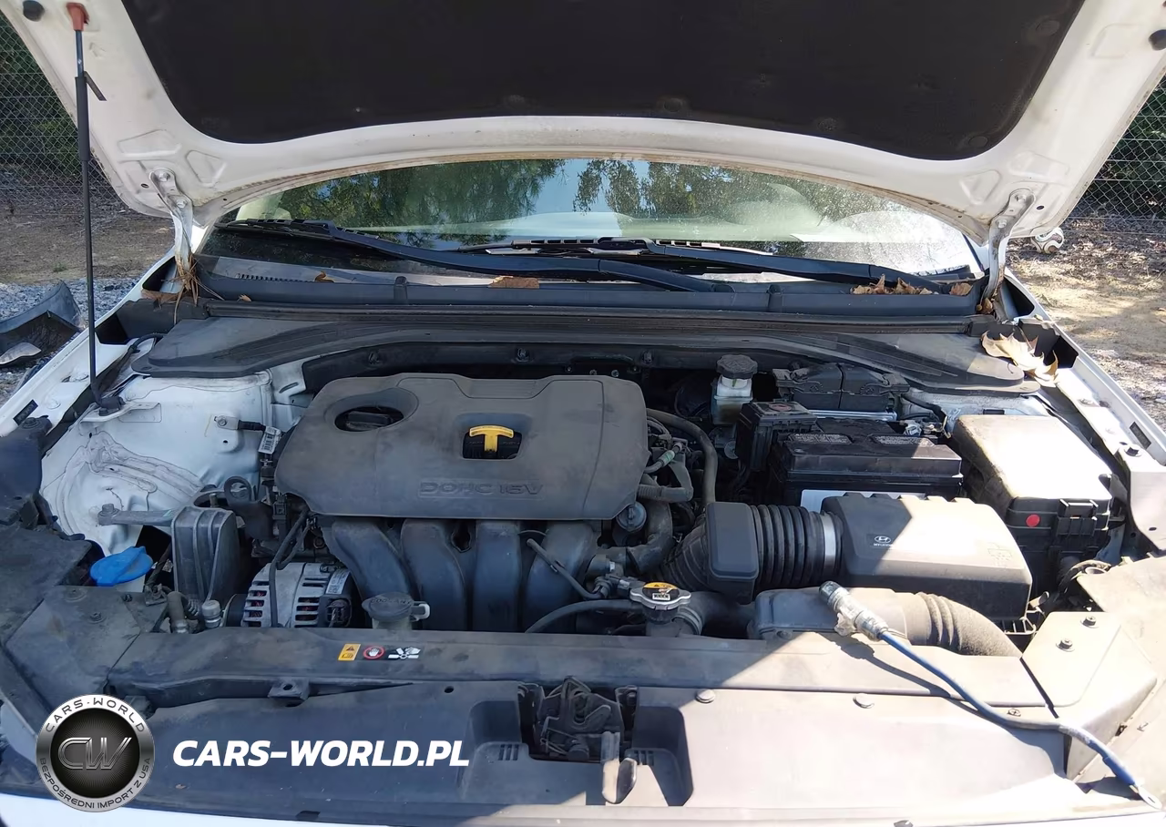 2019 Hyundai Elantra Sel VIN:5NPD84LF5KH415774 - 10