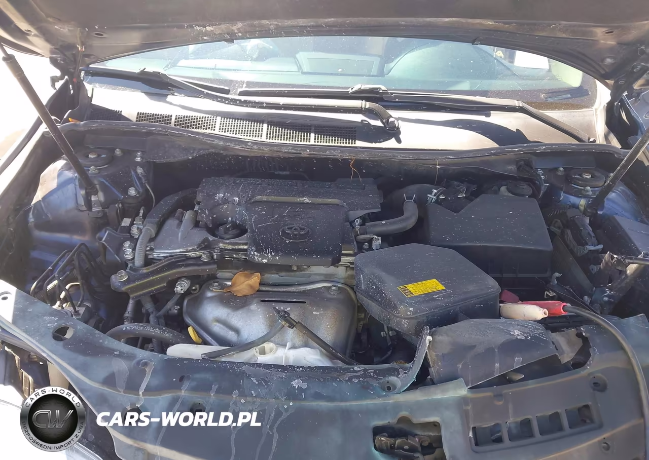 2015 Toyota Camry Le VIN:4T4BF1FK1FR462821 - 10