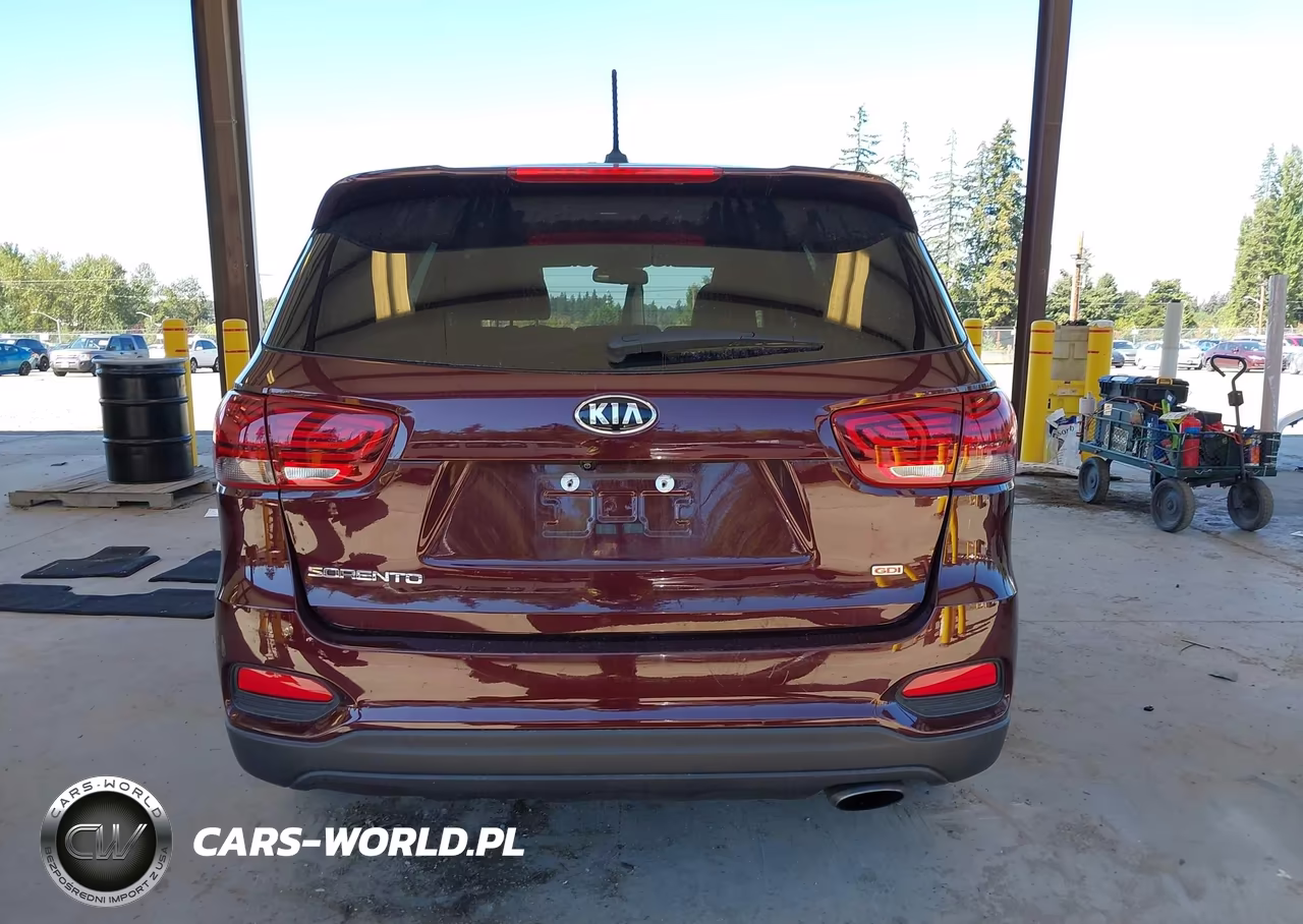 2020 Kia Sorento 2.4L Lx VIN:5XYPG4A3XLG644422 - 17
