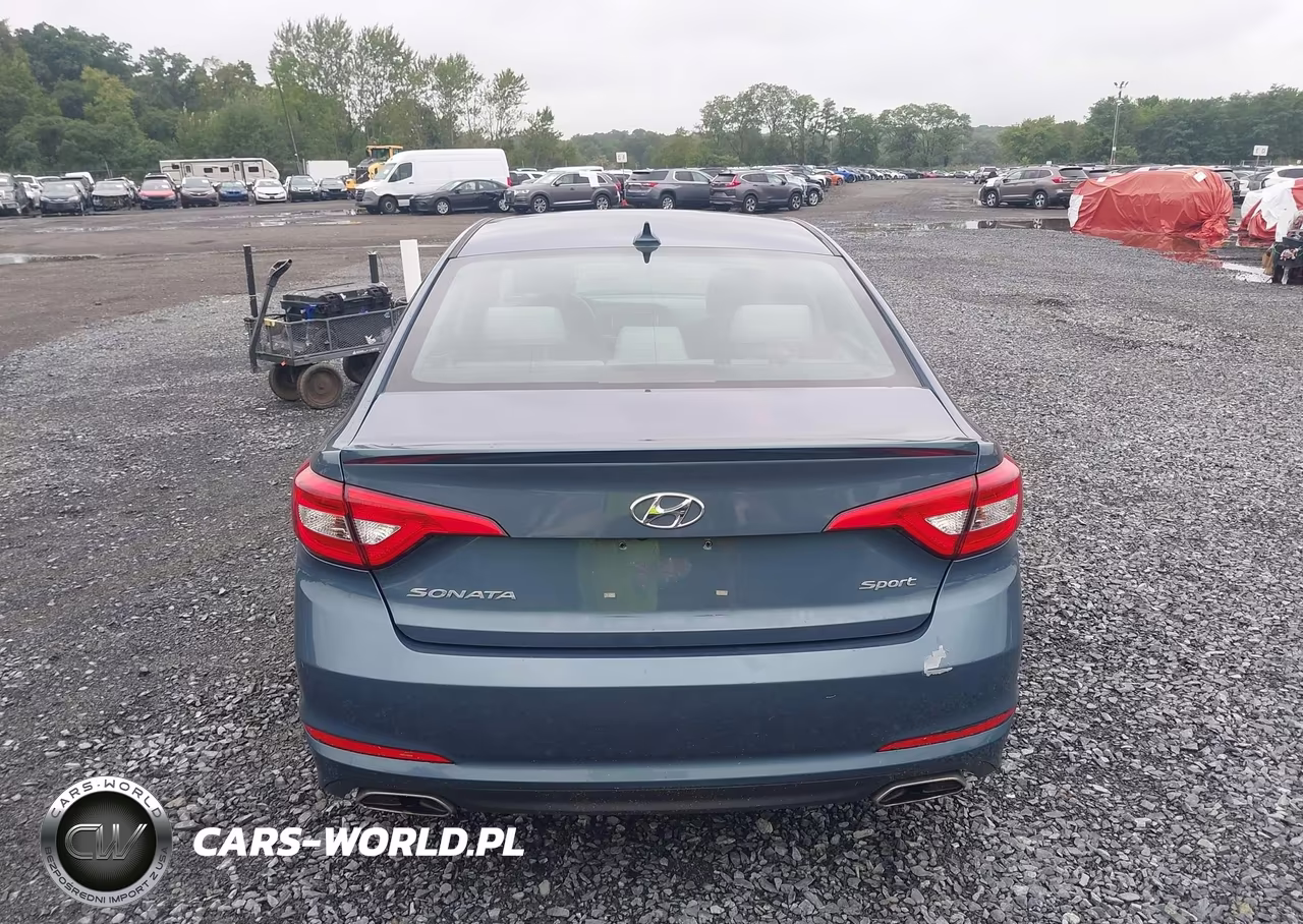 2016 Hyundai Sonata Sport VIN:5NPE34AF2GH353442 - 16