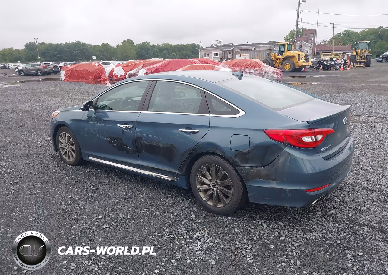 2016 Hyundai Sonata Sport VIN:5NPE34AF2GH353442 - 6