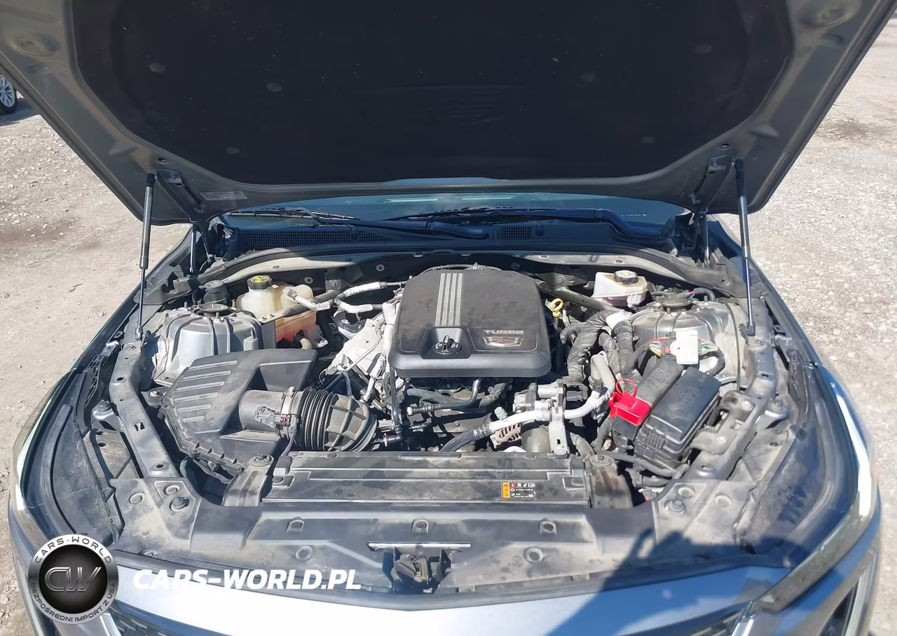 2020 Cadillac Ct5 Premium Luxury VIN:1G6DT5RK0L0133018 - 10