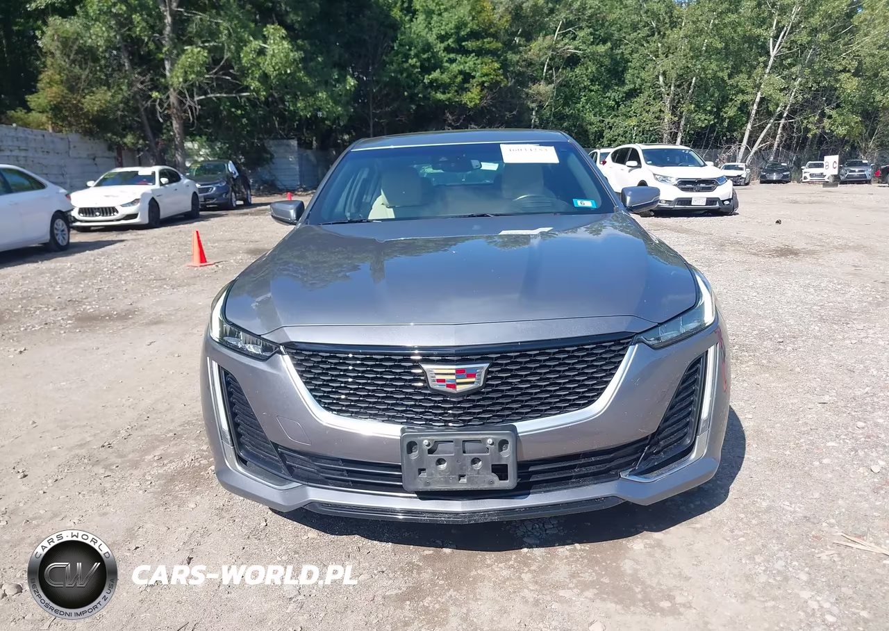 2020 Cadillac Ct5 Premium Luxury VIN:1G6DT5RK0L0133018 - 12