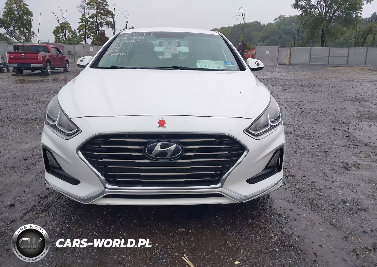2019 Hyundai Sonata Se VIN:5NPE24AF9KH792696 - 13