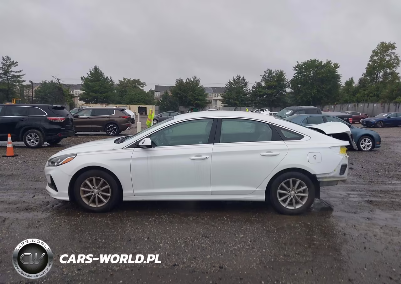 2019 Hyundai Sonata Se VIN:5NPE24AF9KH792696 - 15