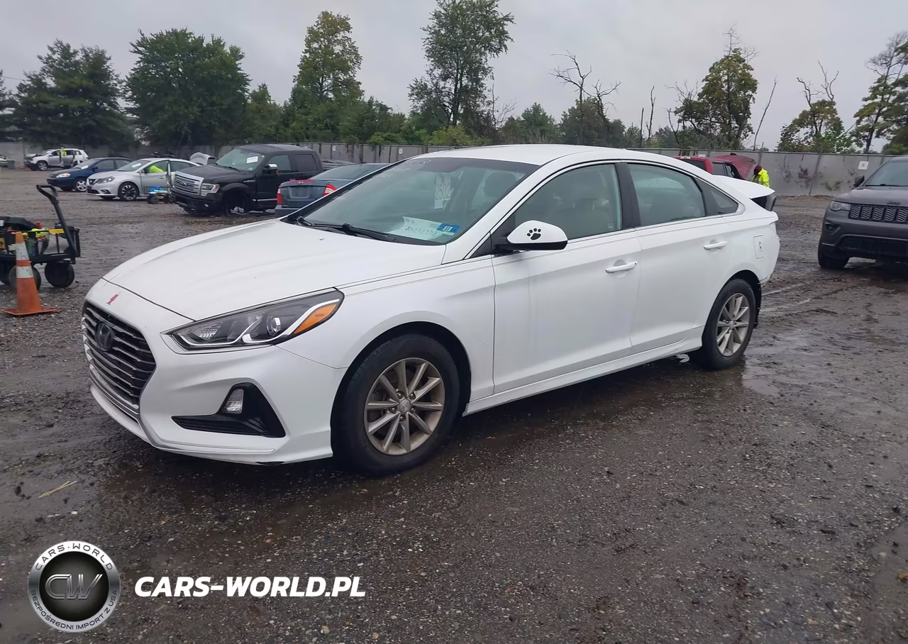 2019 Hyundai Sonata Se VIN:5NPE24AF9KH792696 - 2
