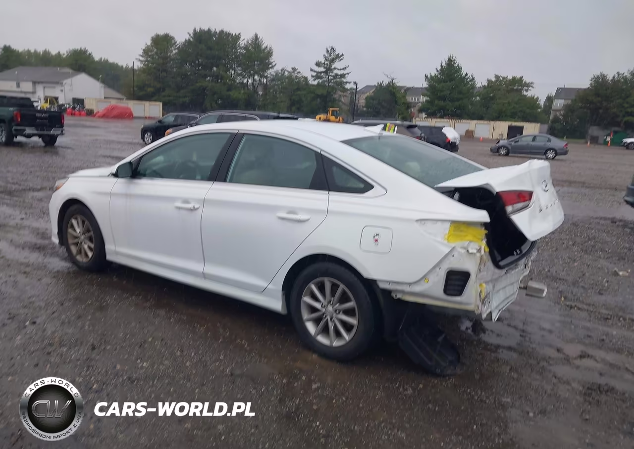 2019 Hyundai Sonata Se VIN:5NPE24AF9KH792696 - 3