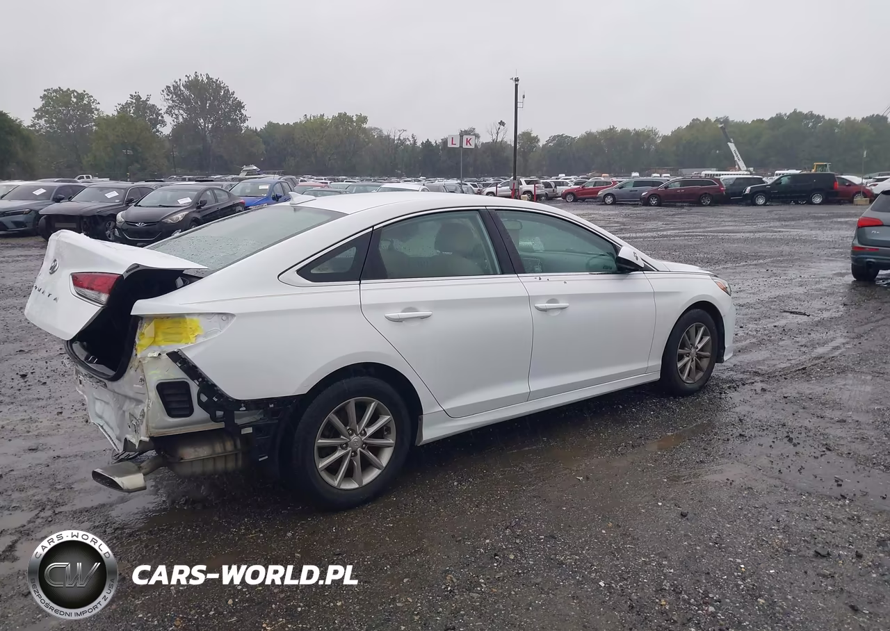 2019 Hyundai Sonata Se VIN:5NPE24AF9KH792696 - 4