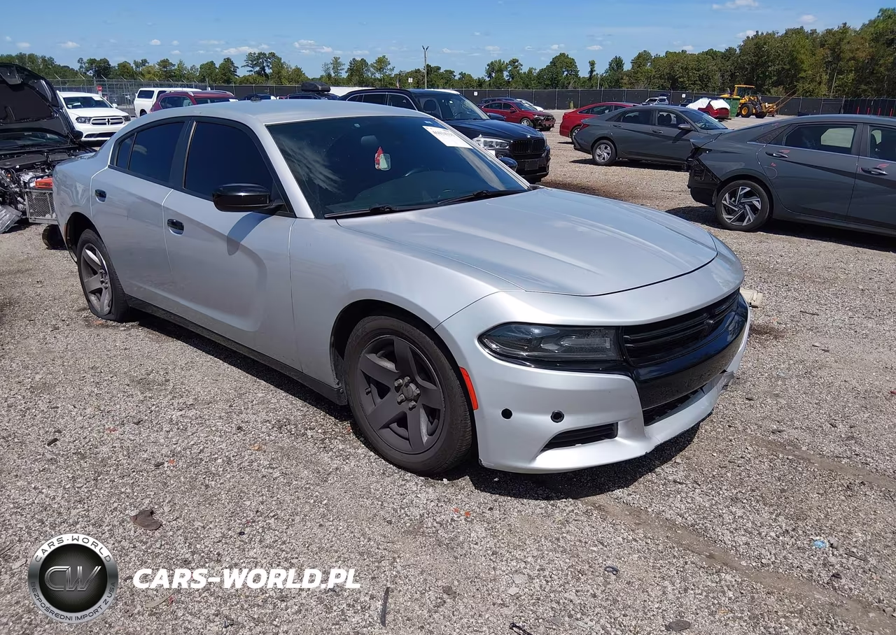 2019 Dodge Charger Police Rwd