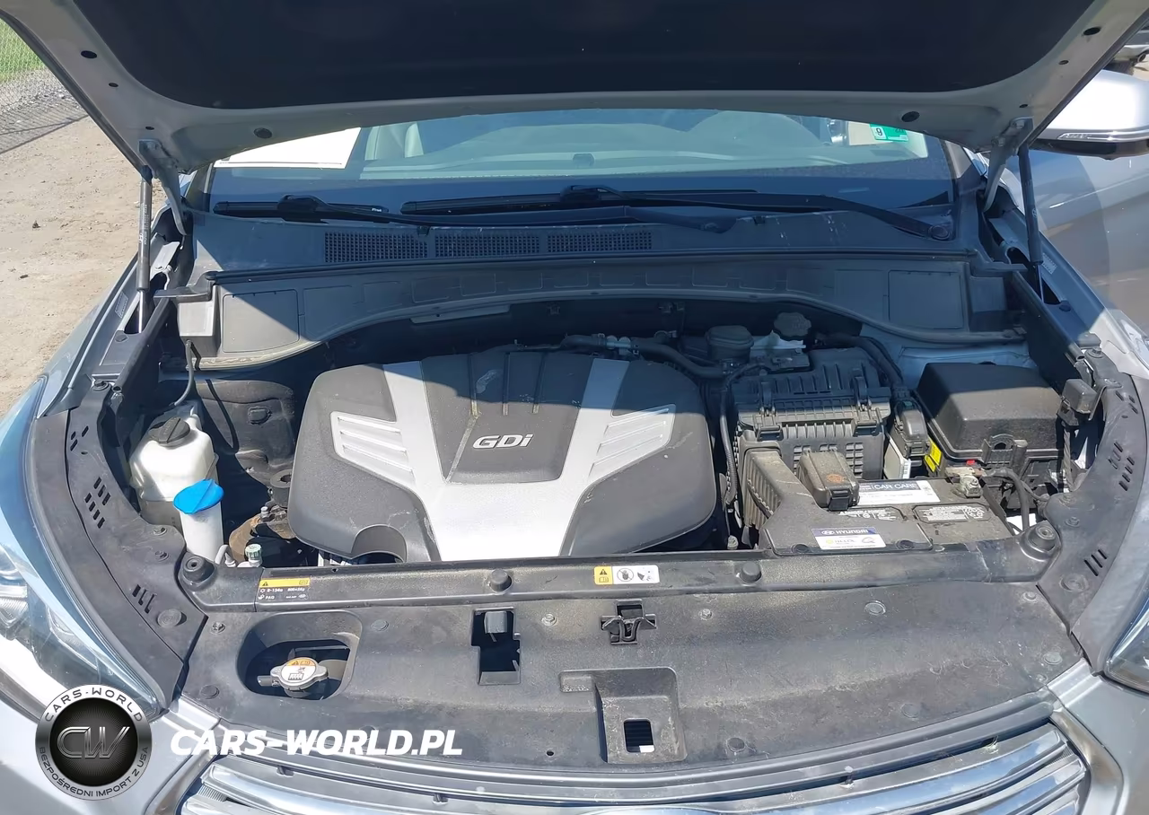 2017 Hyundai Santa Fe Limited Ultimate VIN:KM8SRDHFXHU241109 - 10