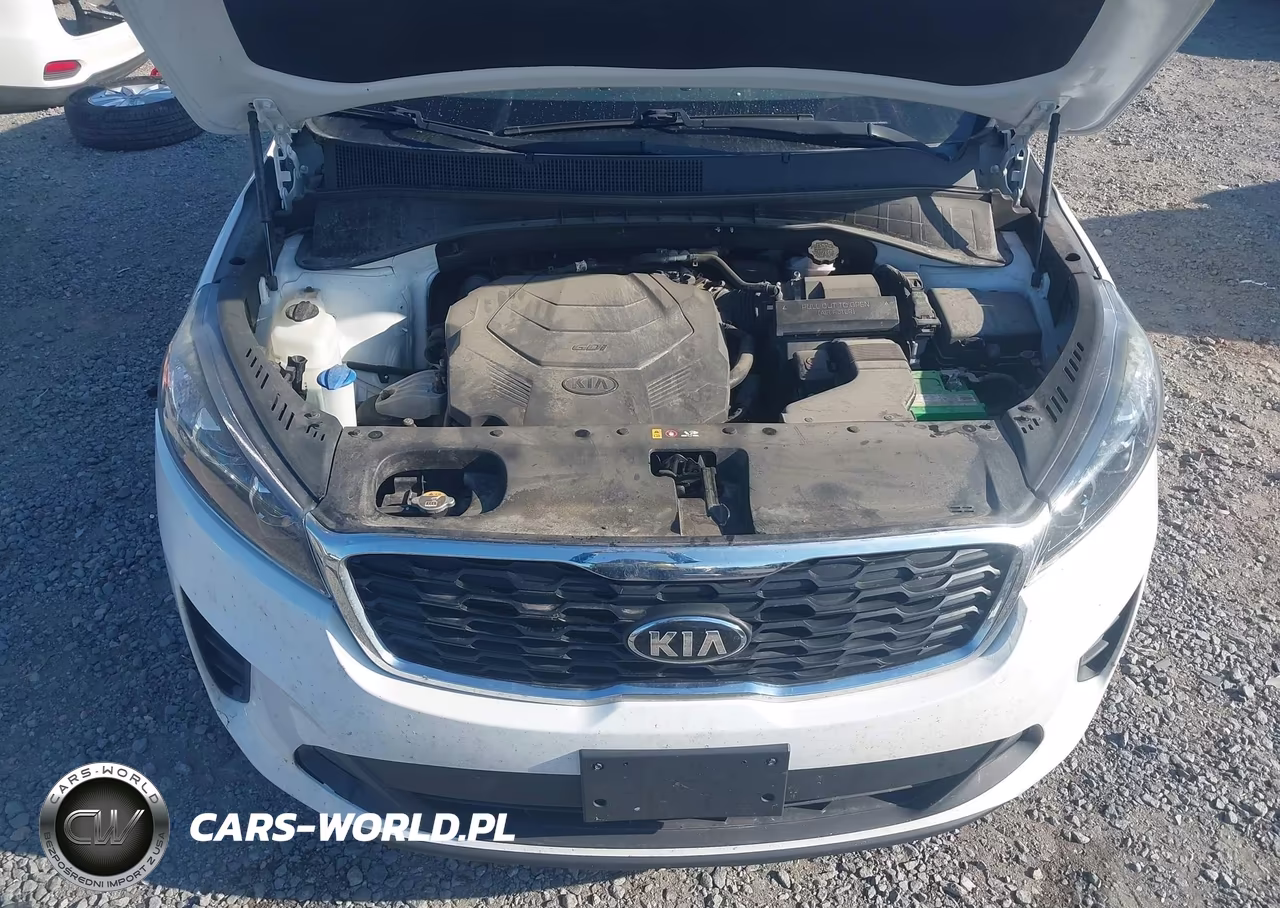 2019 Kia Sorento 3.3L Lx VIN:5XYPGDA57KG489523 - 10