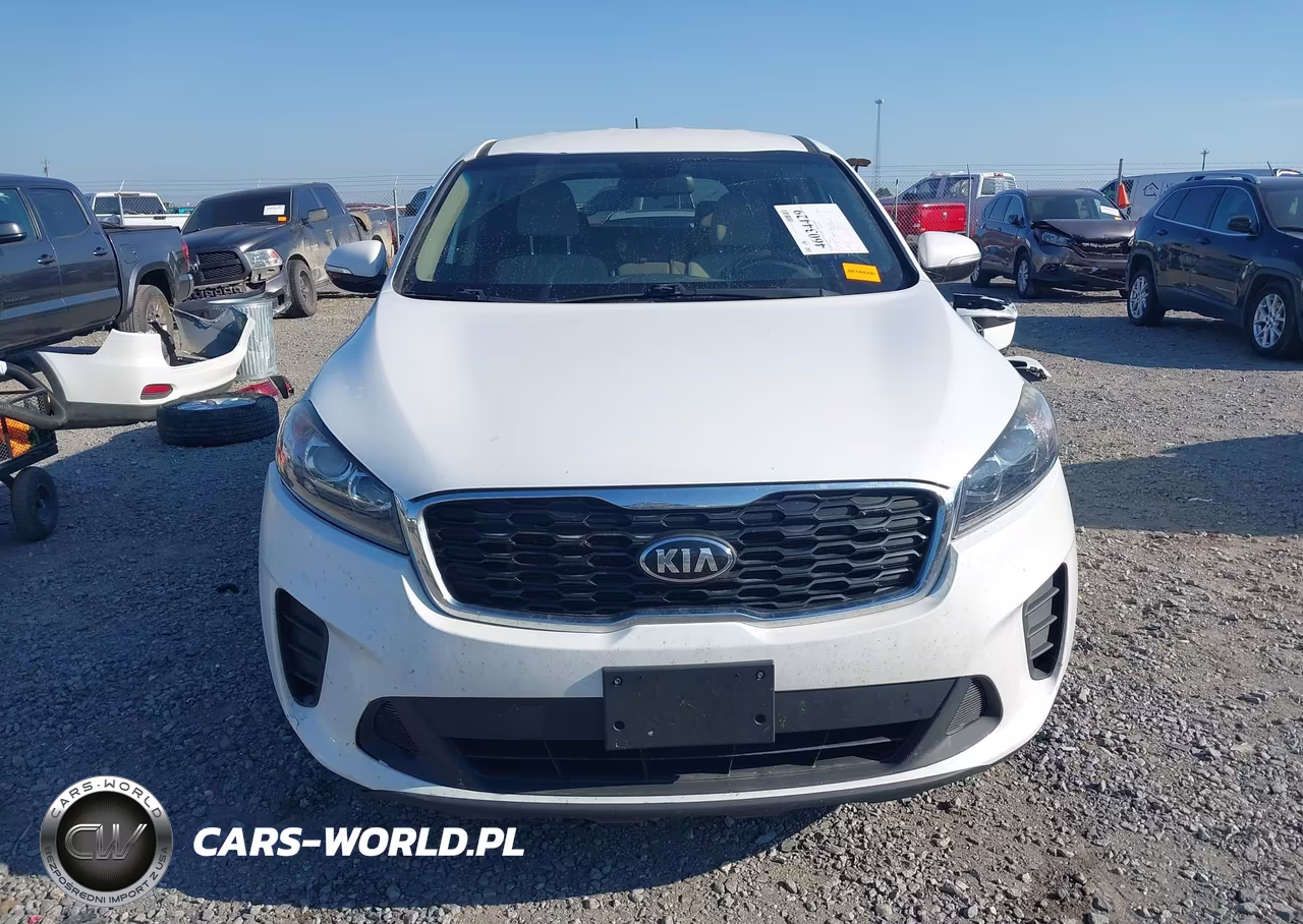 2019 Kia Sorento 3.3L Lx VIN:5XYPGDA57KG489523 - 13