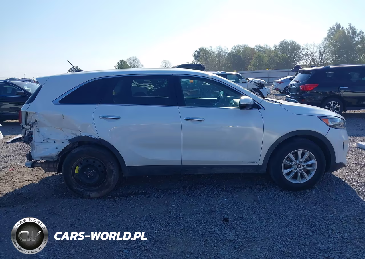 2019 Kia Sorento 3.3L Lx VIN:5XYPGDA57KG489523 - 14