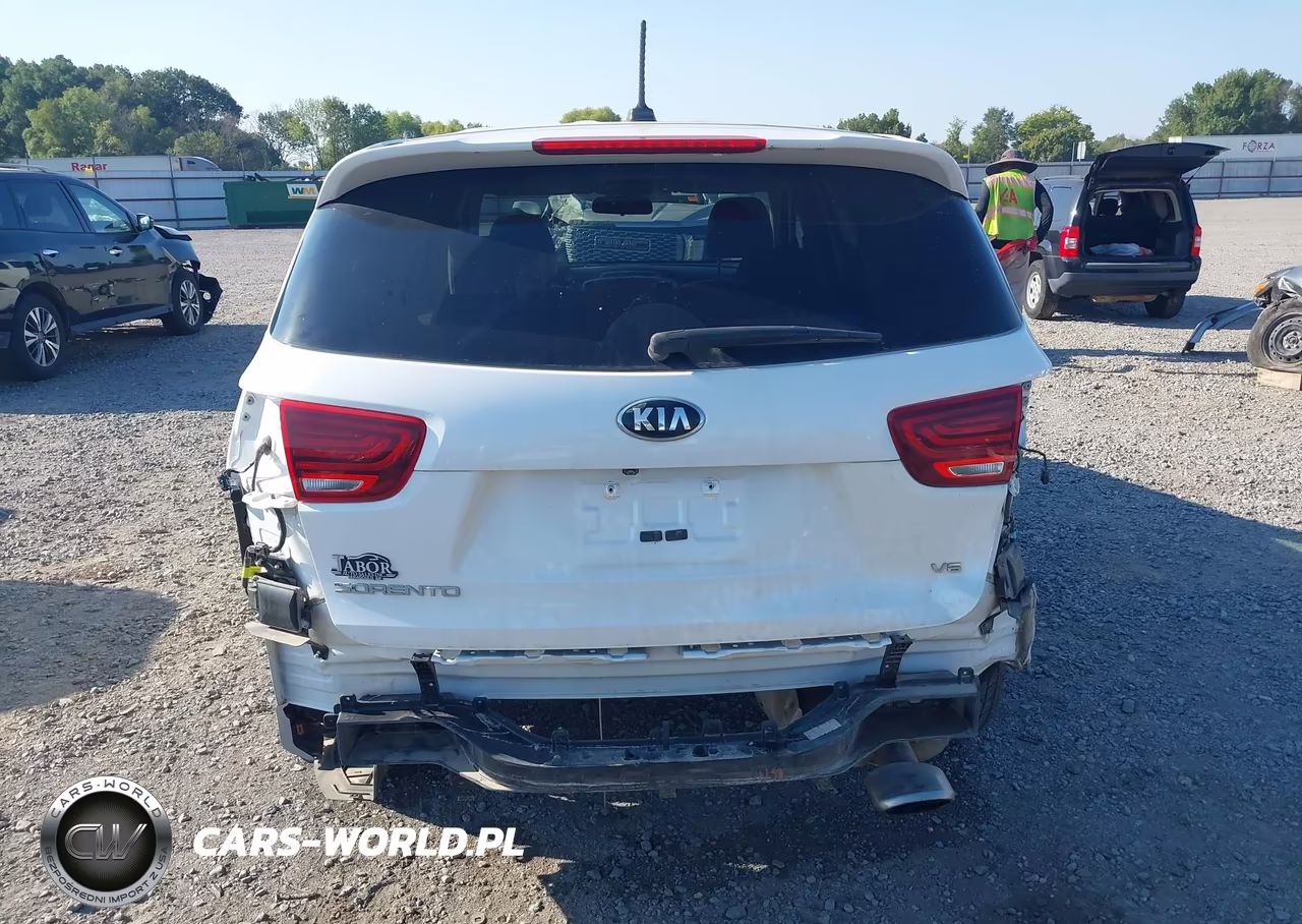 2019 Kia Sorento 3.3L Lx VIN:5XYPGDA57KG489523 - 17