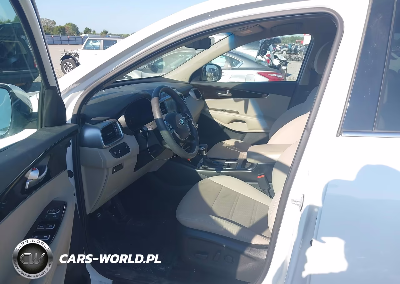 2019 Kia Sorento 3.3L Lx VIN:5XYPGDA57KG489523 - 19