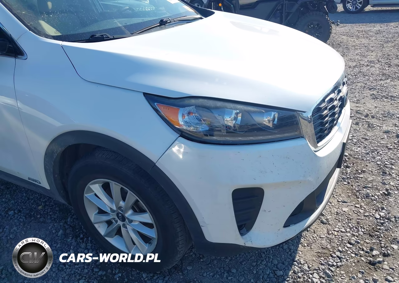 2019 Kia Sorento 3.3L Lx VIN:5XYPGDA57KG489523 - 22