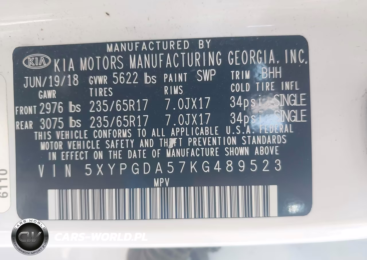 2019 Kia Sorento 3.3L Lx VIN:5XYPGDA57KG489523 - 9