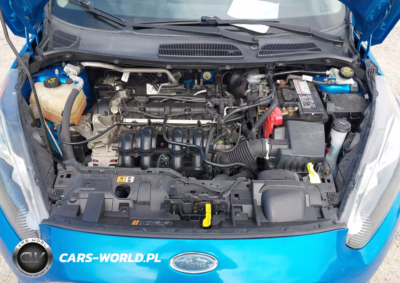 2014 Ford Fiesta Se VIN:3FADP4EJ7EM205220 - 10