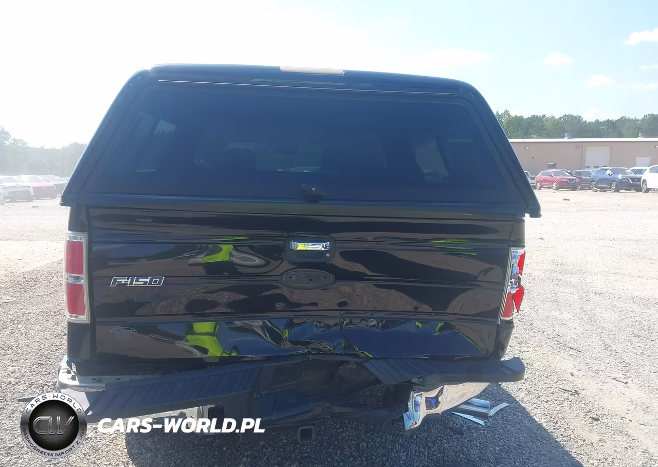 2009 Ford F-150 Xlt VIN:1FTRW12859FA27090 - 16
