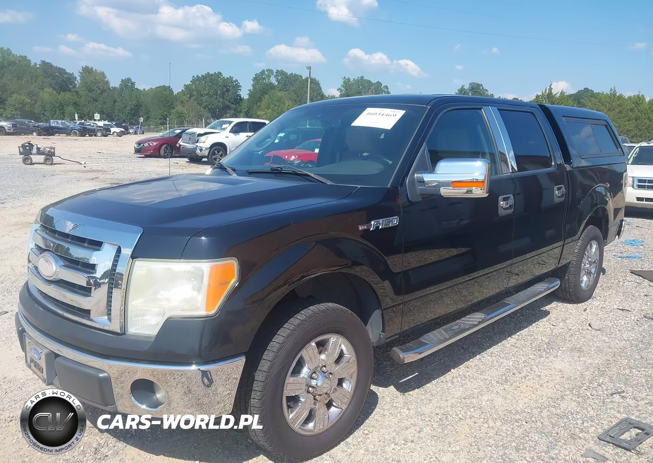 2009 Ford F-150 Xlt VIN:1FTRW12859FA27090 - 2