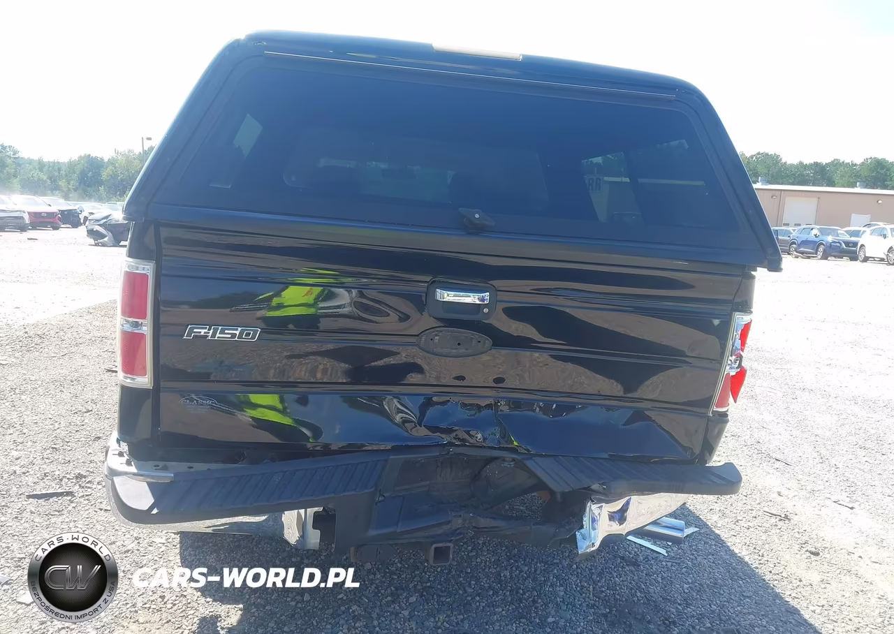2009 Ford F-150 Xlt VIN:1FTRW12859FA27090 - 6