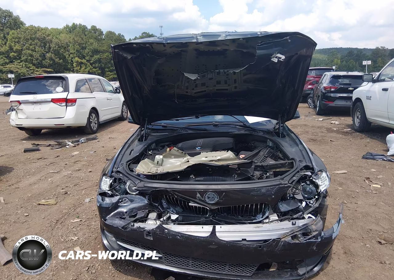 2013 BMW 528I VIN:WBAXG5C56DD228515 - 13