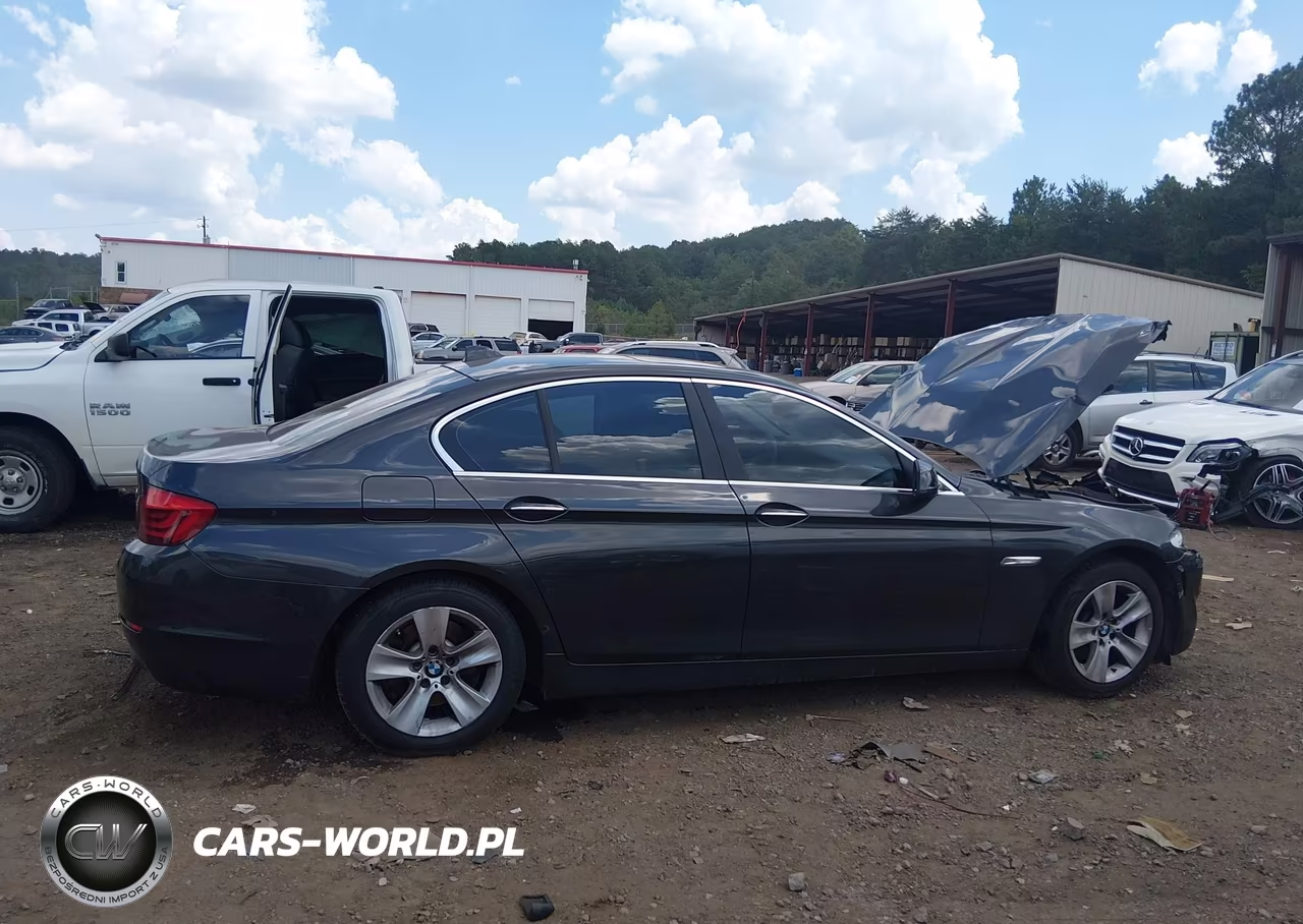 2013 BMW 528I VIN:WBAXG5C56DD228515 - 14