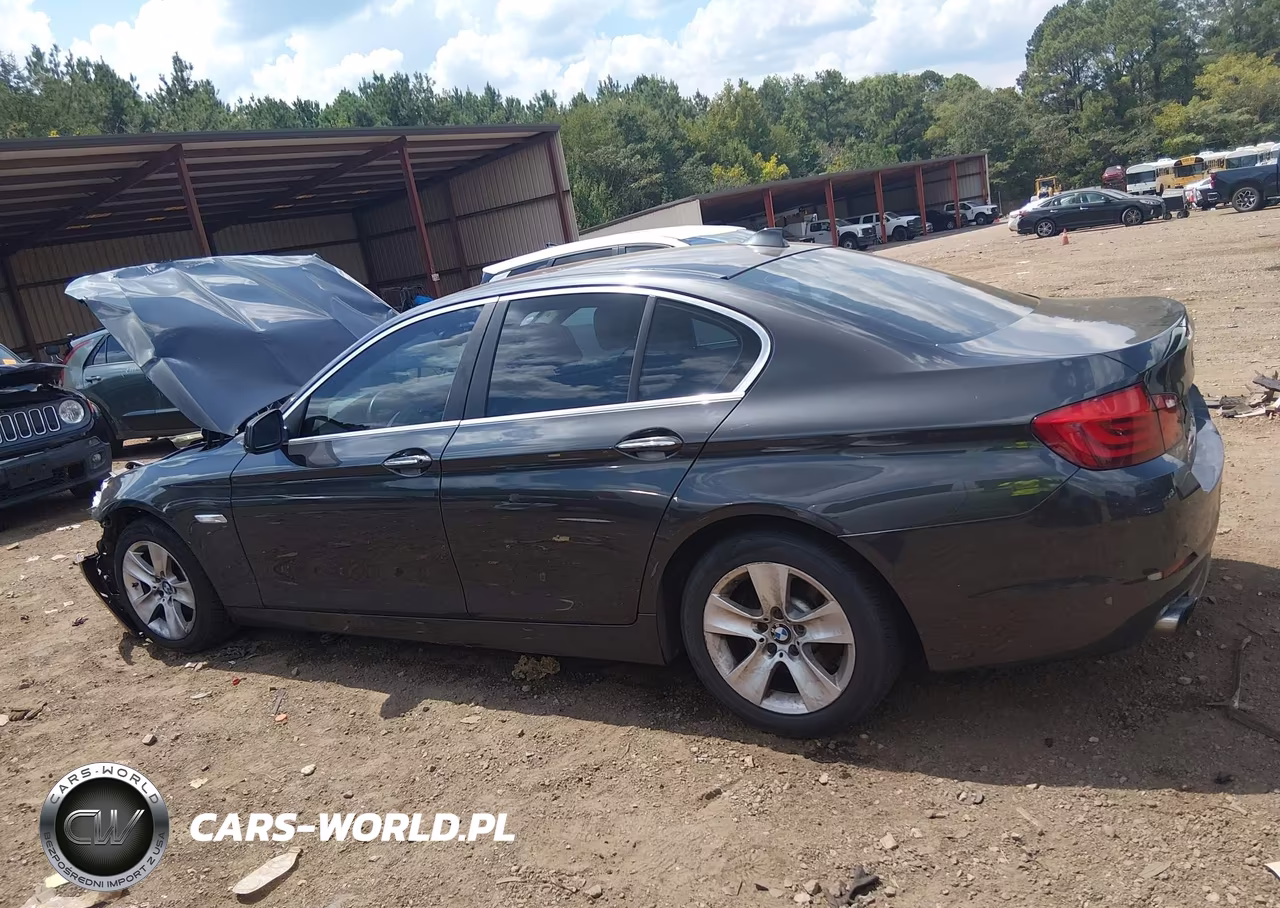 2013 BMW 528I VIN:WBAXG5C56DD228515 - 15