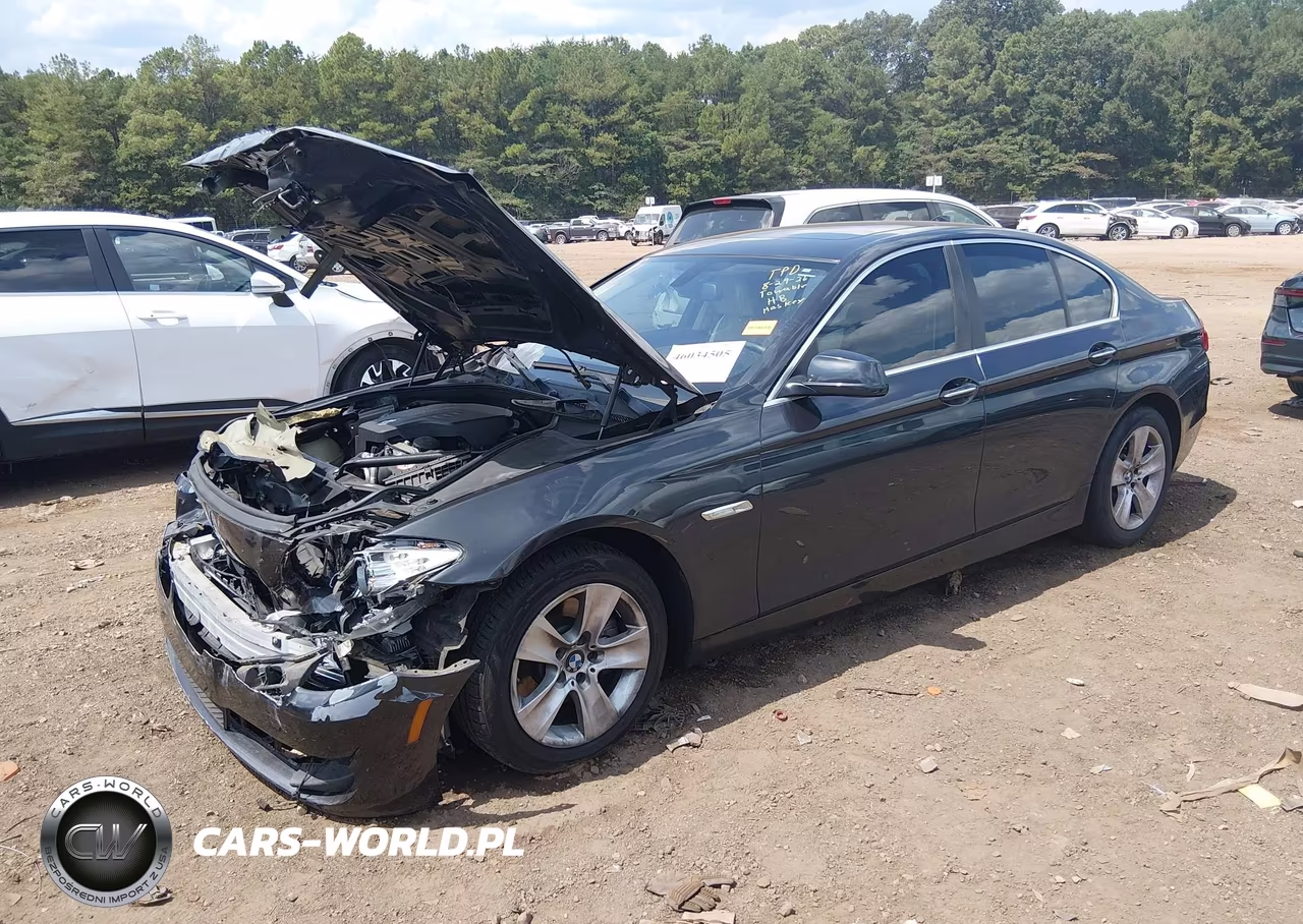 2013 BMW 528I VIN:WBAXG5C56DD228515 - 2