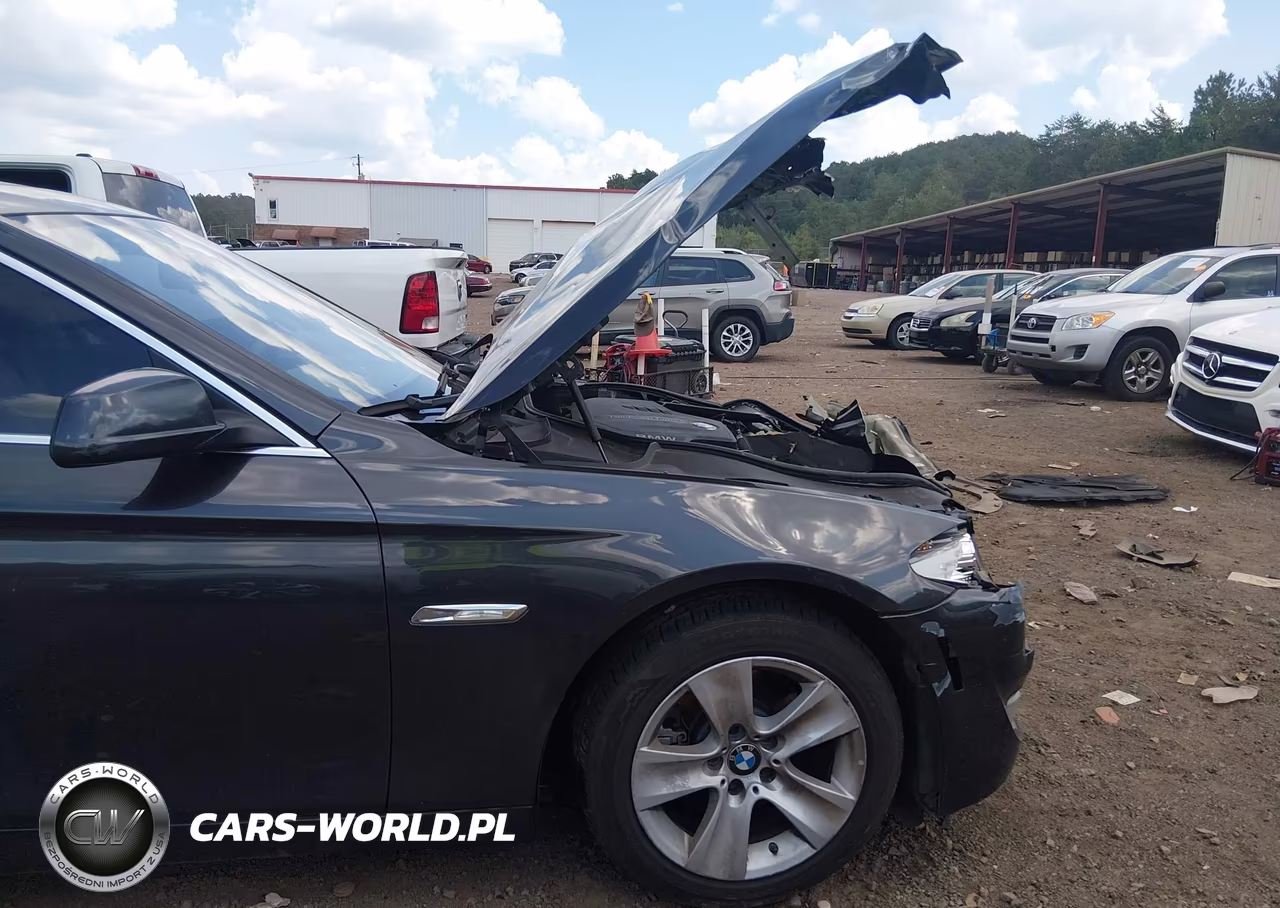 2013 BMW 528I VIN:WBAXG5C56DD228515 - 6