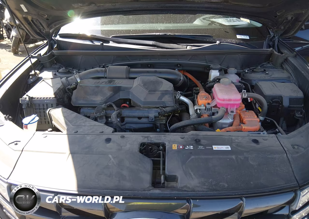 2024 Hyundai Tucson Hybrid Blue VIN:KM8JBCD12RU220311 - 10