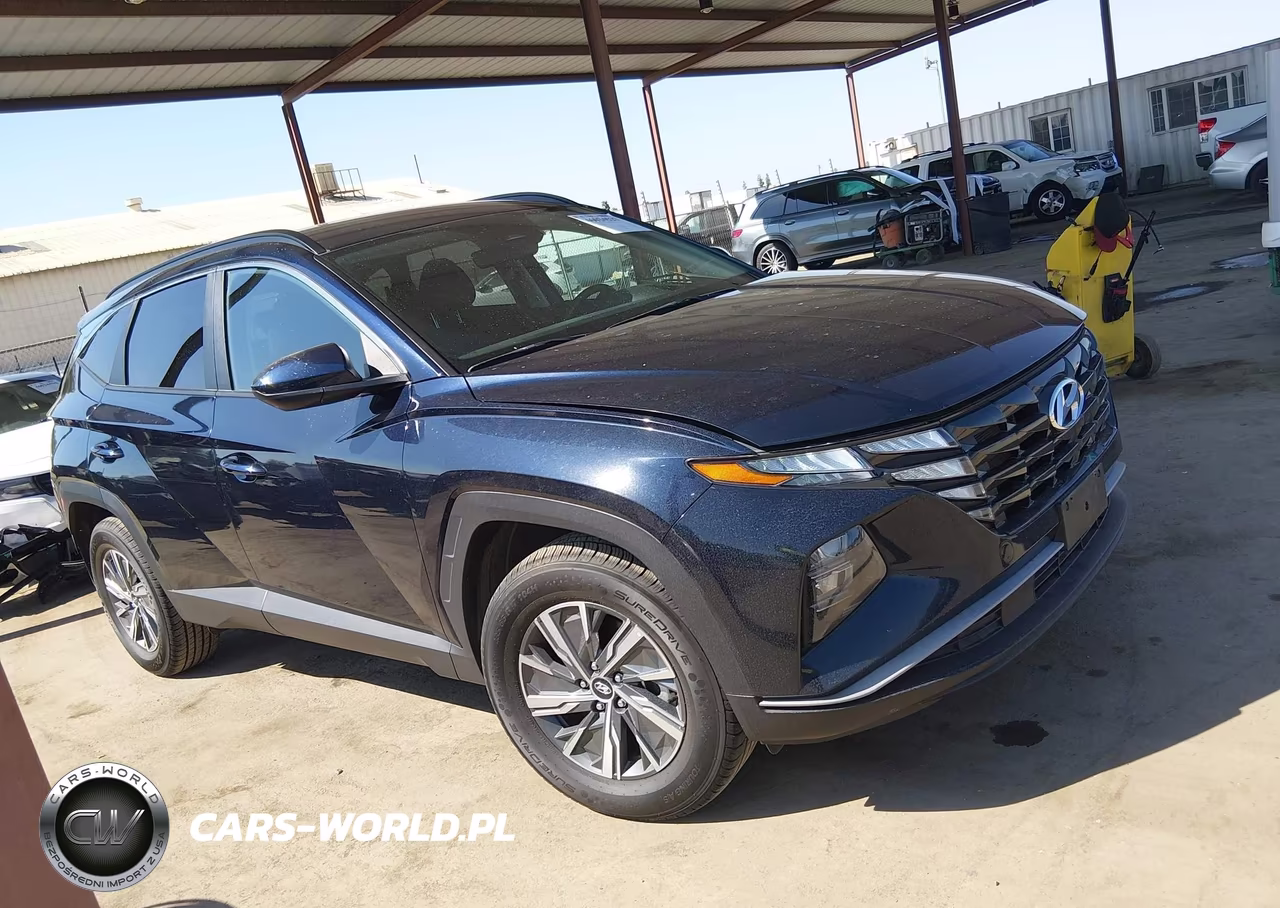 2024 Hyundai Tucson Hybrid Blue VIN:KM8JBCD12RU220311 - 14