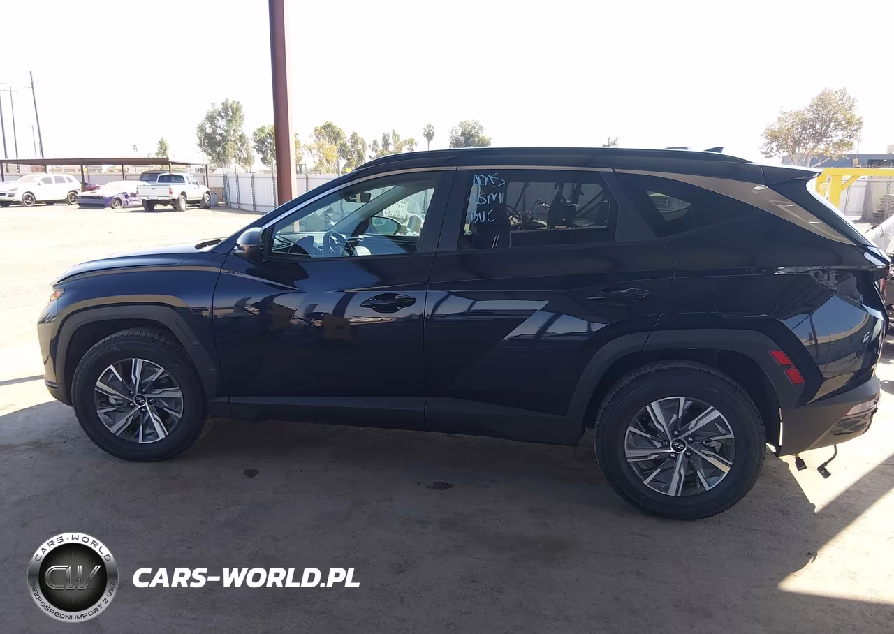 2024 Hyundai Tucson Hybrid Blue VIN:KM8JBCD12RU220311 - 15
