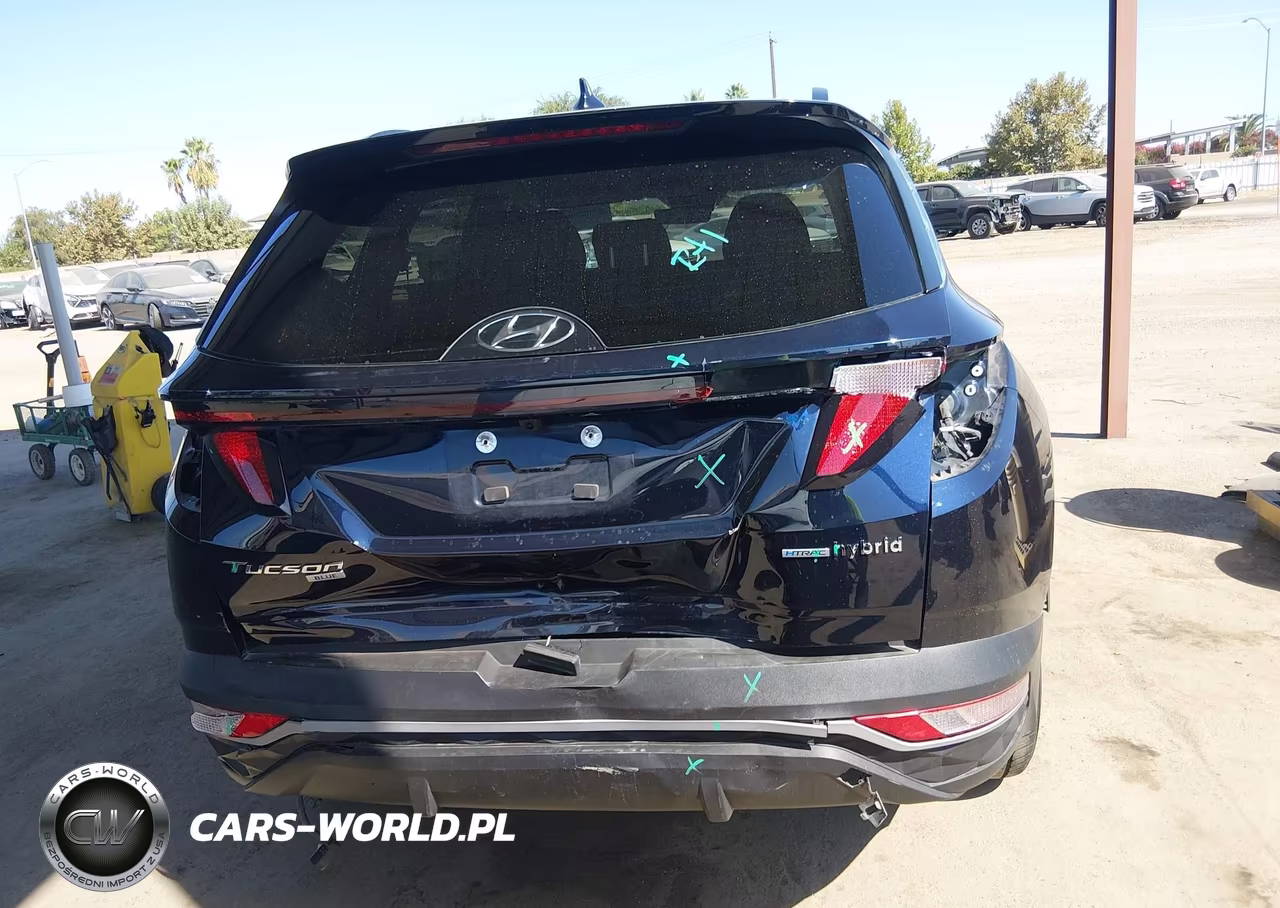 2024 Hyundai Tucson Hybrid Blue VIN:KM8JBCD12RU220311 - 17