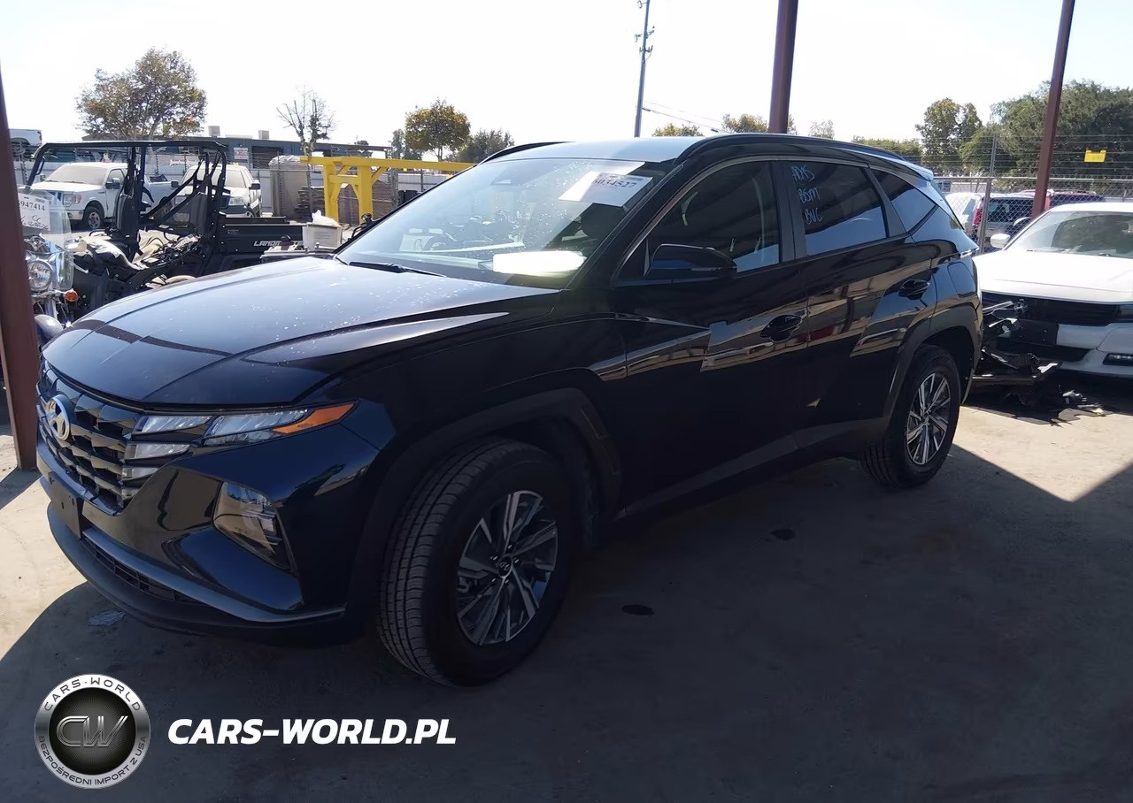 2024 Hyundai Tucson Hybrid Blue VIN:KM8JBCD12RU220311 - 2