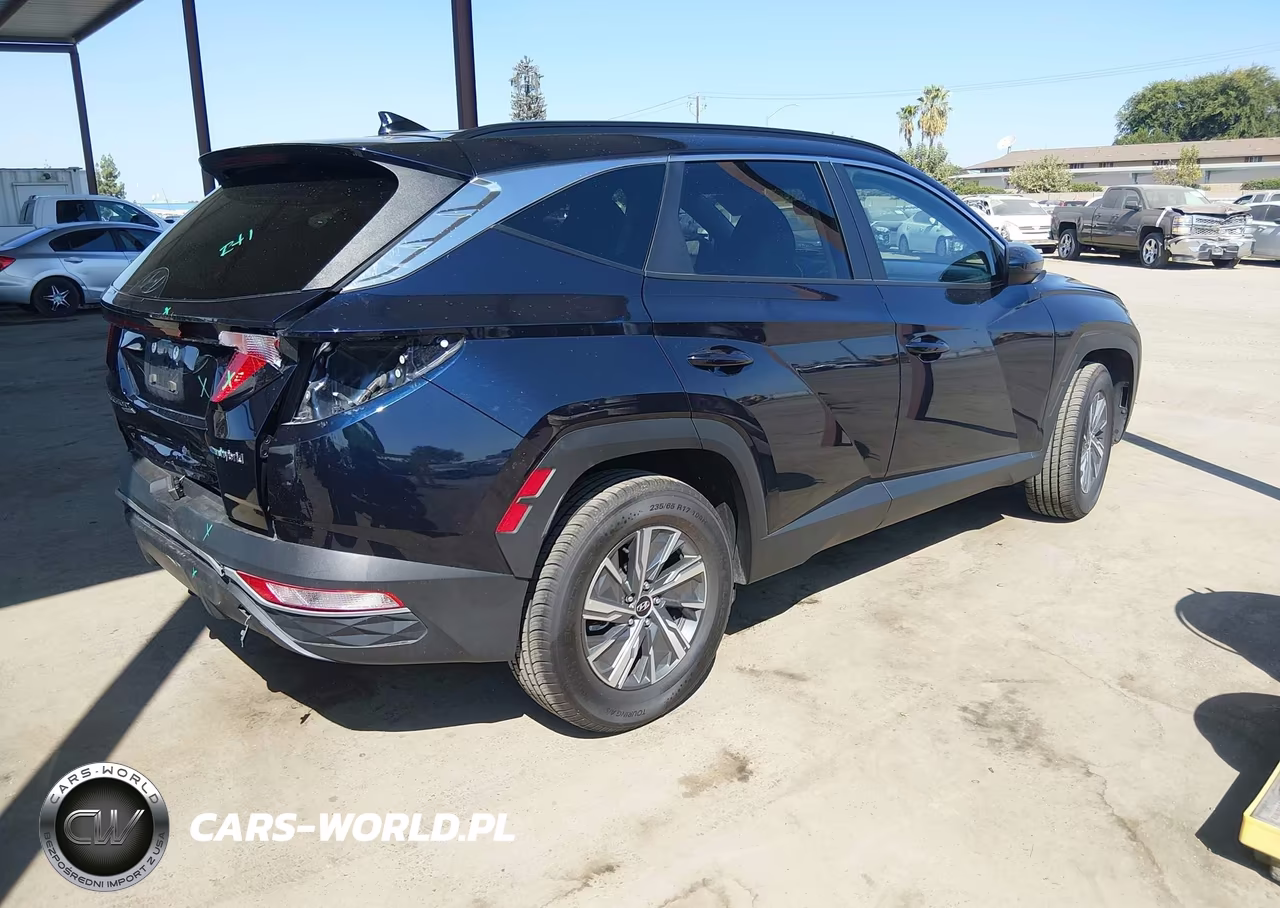2024 Hyundai Tucson Hybrid Blue VIN:KM8JBCD12RU220311 - 4