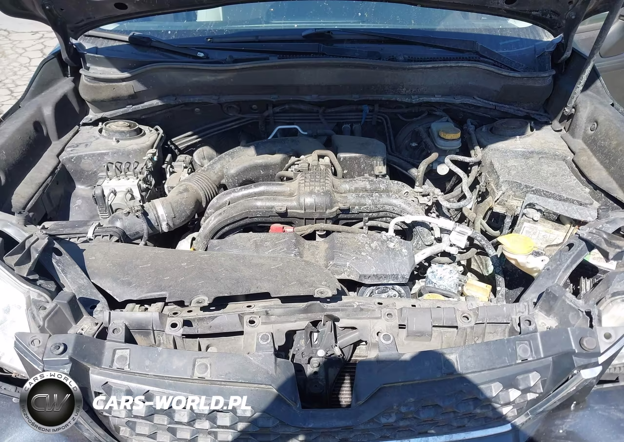 2016 Subaru Forester 2.5I VIN:JF2SJABC0GH407977 - 10