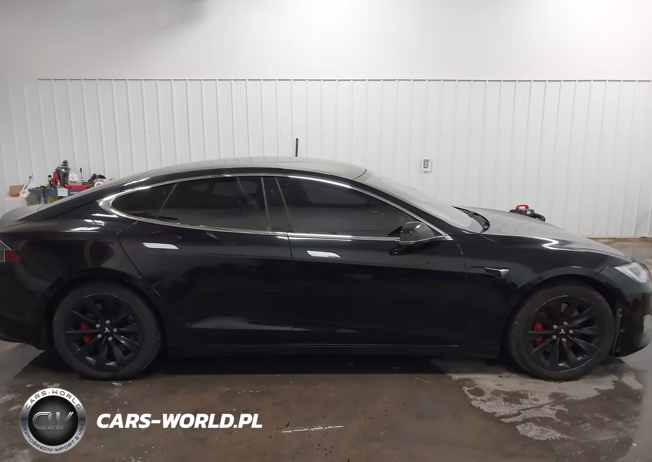 2018 Tesla Model S 100D-75D-P100D VIN:5YJSA1E47JF247025 - 13