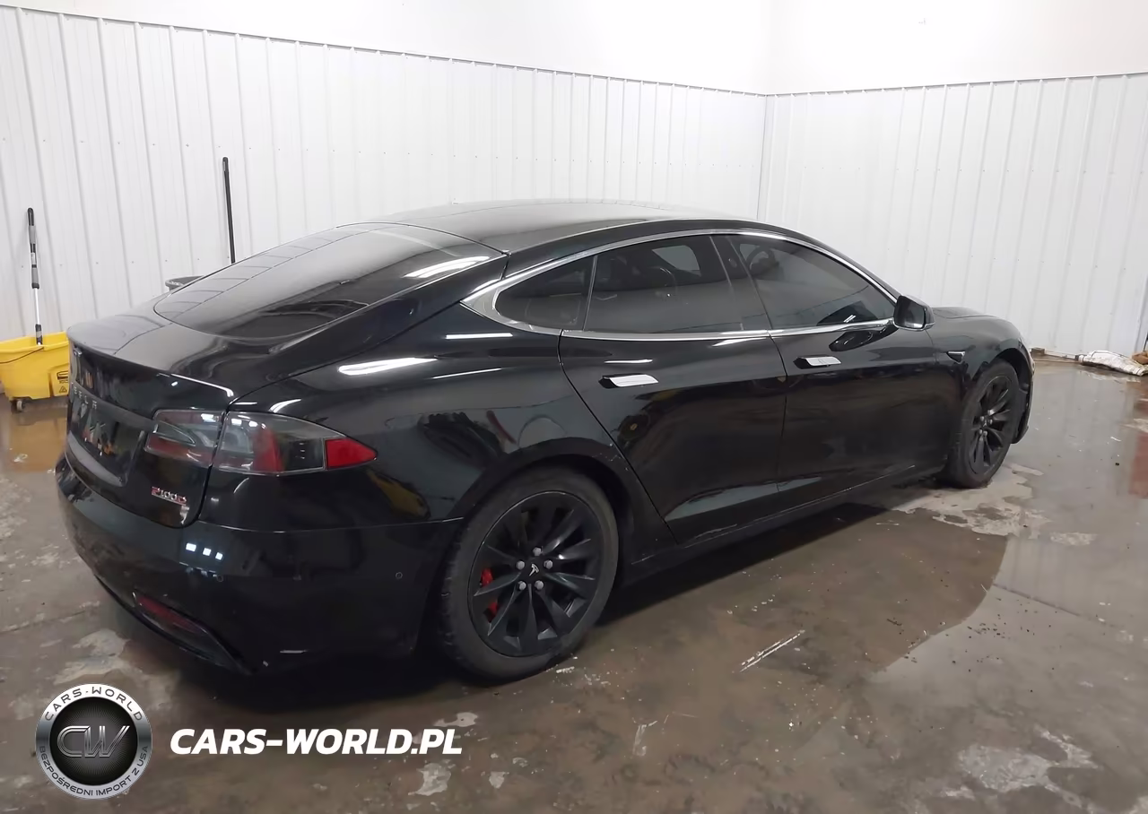 2018 Tesla Model S 100D-75D-P100D VIN:5YJSA1E47JF247025 - 4