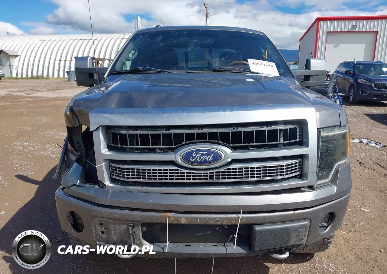 2010 Ford F-150 Fx4-Harley-Davidson-King Ranch-Lariat-Platinum-Xl-Xlt VIN:1FTFW1EV0AFB45315 - 13