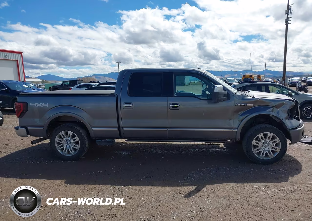 2010 Ford F-150 Fx4-Harley-Davidson-King Ranch-Lariat-Platinum-Xl-Xlt VIN:1FTFW1EV0AFB45315 - 14