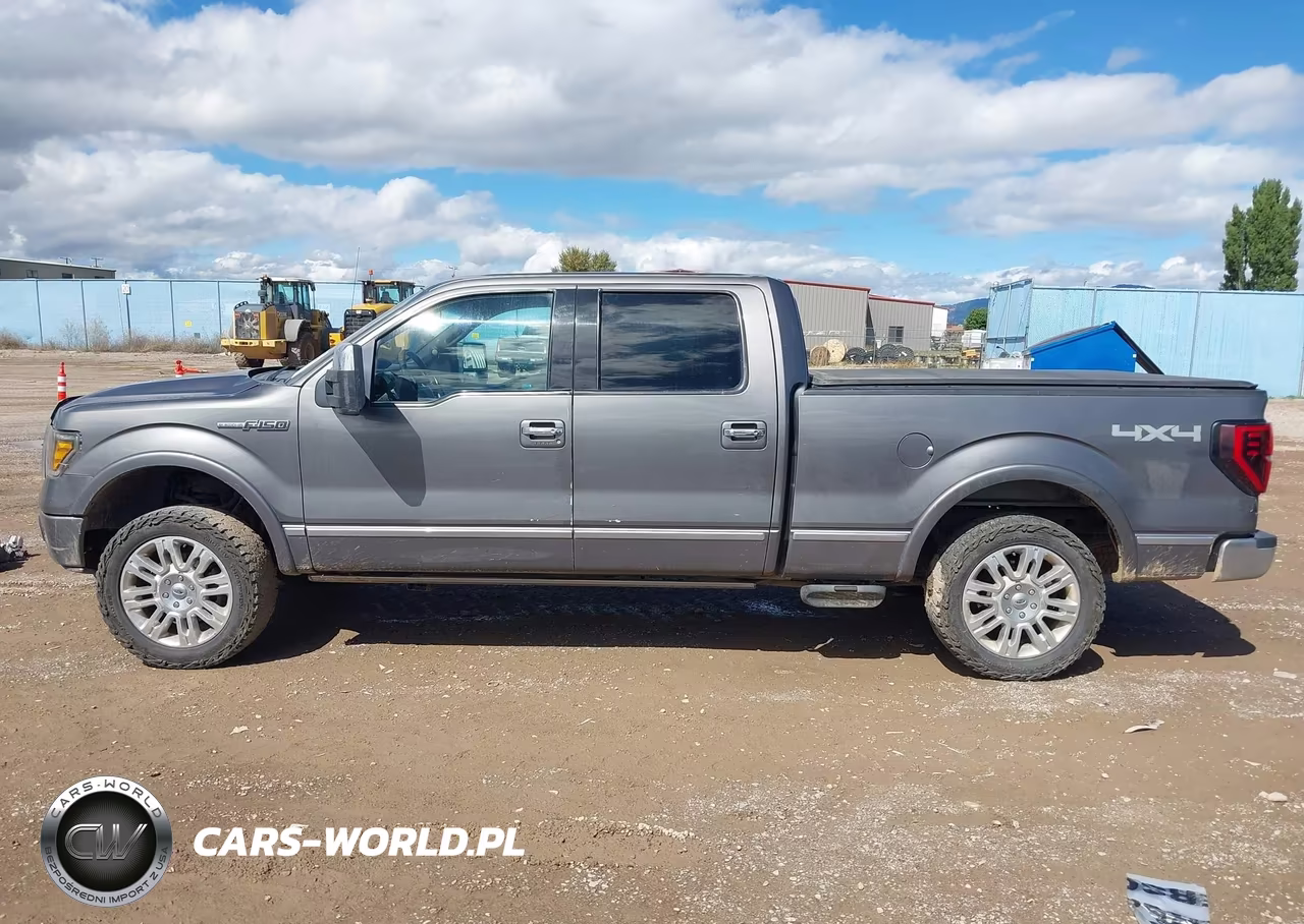 2010 Ford F-150 Fx4-Harley-Davidson-King Ranch-Lariat-Platinum-Xl-Xlt VIN:1FTFW1EV0AFB45315 - 15