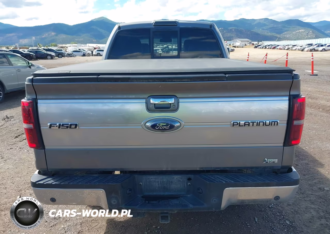 2010 Ford F-150 Fx4-Harley-Davidson-King Ranch-Lariat-Platinum-Xl-Xlt VIN:1FTFW1EV0AFB45315 - 17