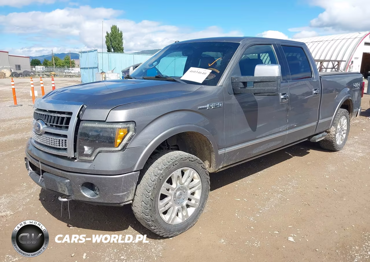 2010 Ford F-150 Fx4-Harley-Davidson-King Ranch-Lariat-Platinum-Xl-Xlt VIN:1FTFW1EV0AFB45315 - 2