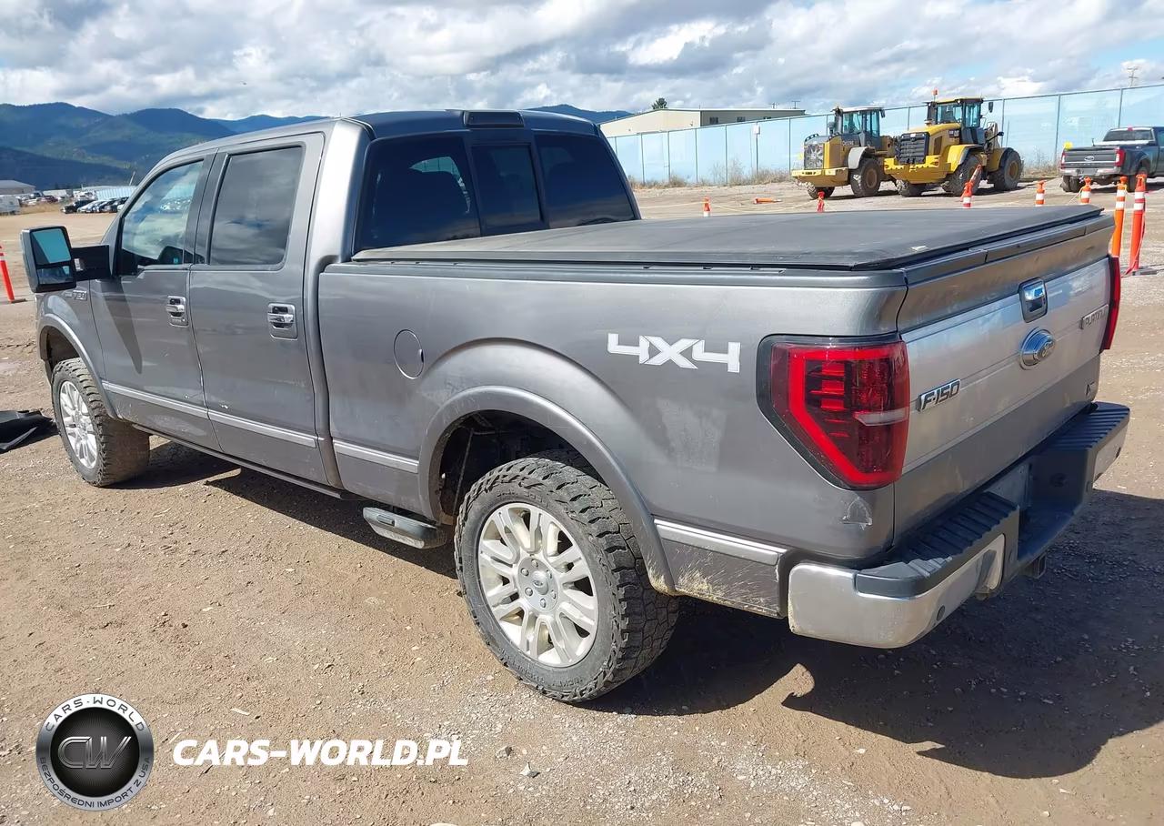 2010 Ford F-150 Fx4-Harley-Davidson-King Ranch-Lariat-Platinum-Xl-Xlt VIN:1FTFW1EV0AFB45315 - 3